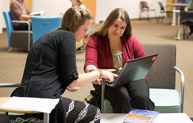 Two individuals seated looking at one laptop screen together