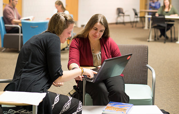 Two Students Studying in the Library